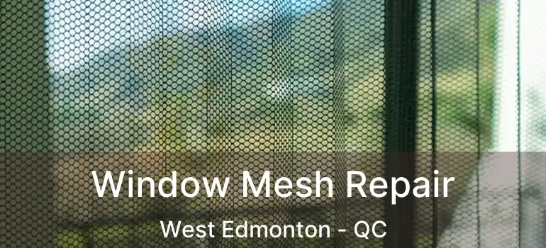  Window Mesh Repair West Edmonton - QC
