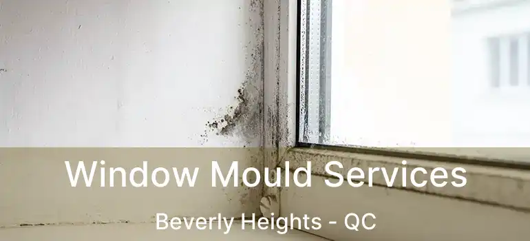  Window Mould Services Beverly Heights - QC