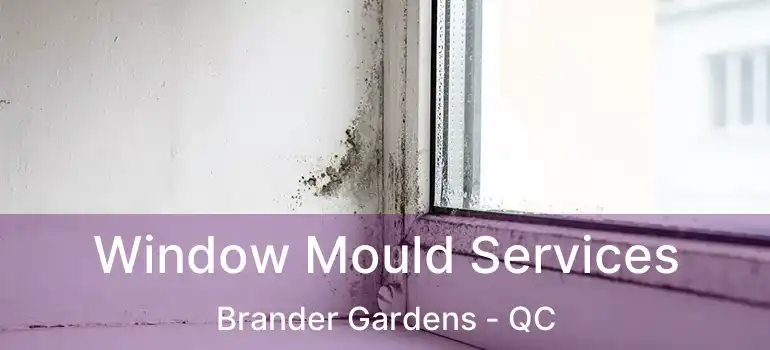  Window Mould Services Brander Gardens - QC