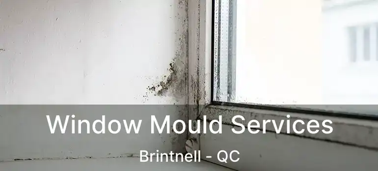  Window Mould Services Brintnell - QC