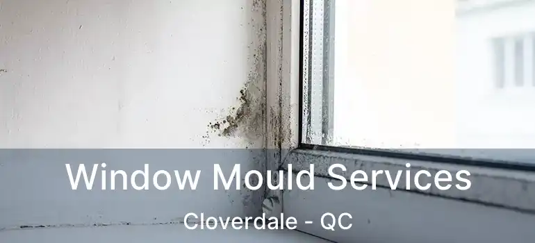 Window Mould Services Cloverdale - QC