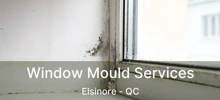  Window Mould Services Elsinore - QC