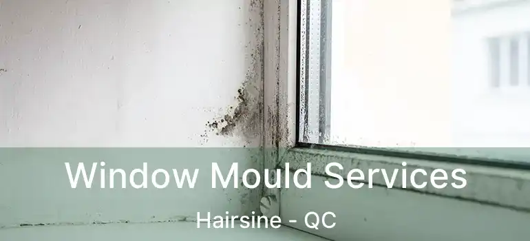  Window Mould Services Hairsine - QC