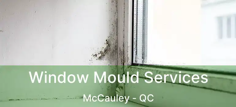 Window Mould Services McCauley - QC