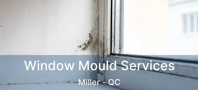 Window Mould Services Miller - QC