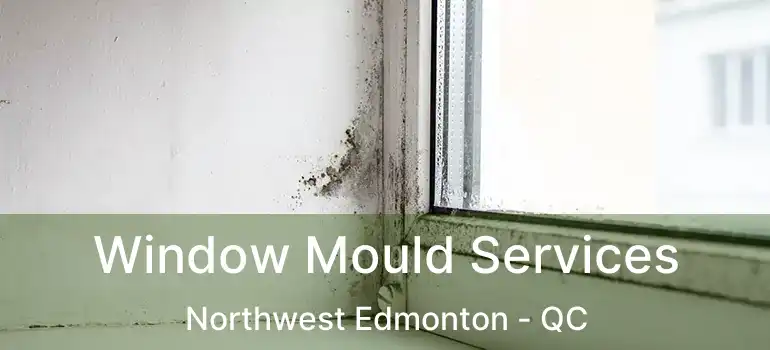  Window Mould Services Northwest Edmonton - QC
