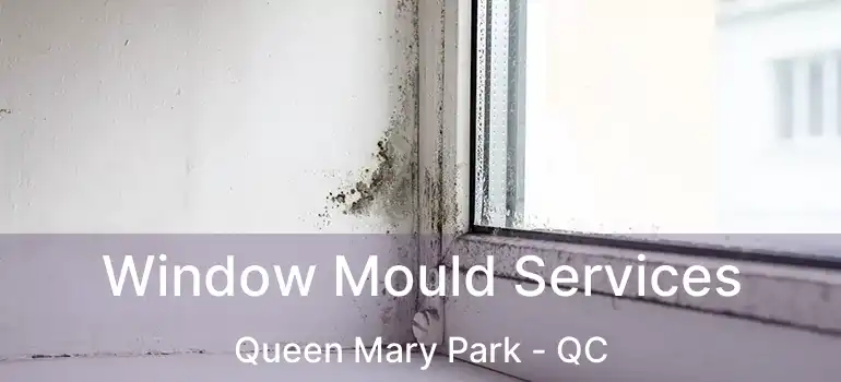 Window Mould Services Queen Mary Park - QC