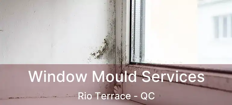Window Mould Services Rio Terrace - QC