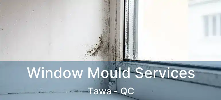 Window Mould Services Tawa - QC