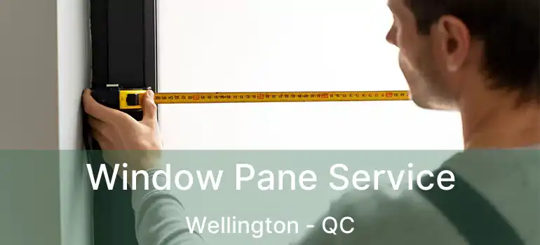  Window Pane Service Wellington - QC