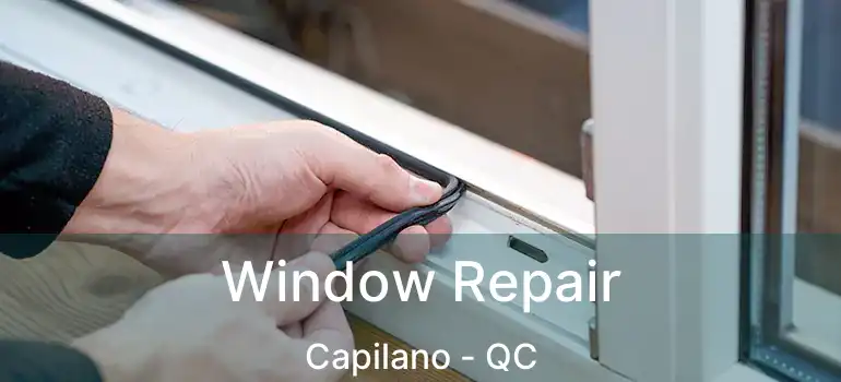  Window Repair Capilano - QC