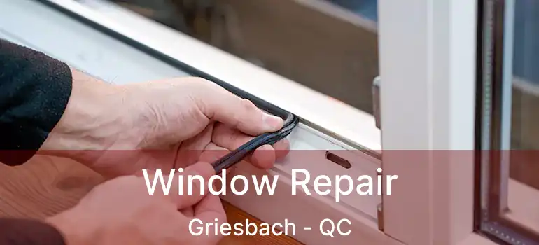 Window Repair Griesbach - QC