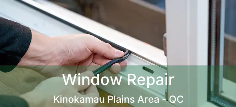 Window Repair Kinokamau Plains Area - QC
