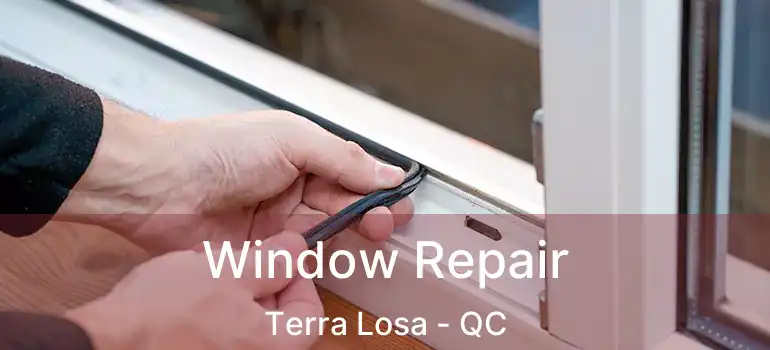 Window Repair Terra Losa - QC