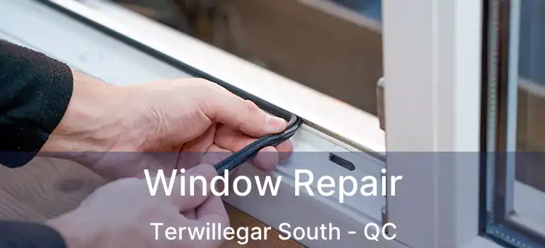  Window Repair Terwillegar South - QC