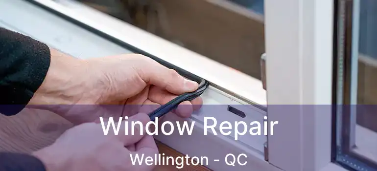  Window Repair Wellington - QC