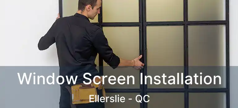  Window Screen Installation Ellerslie - QC