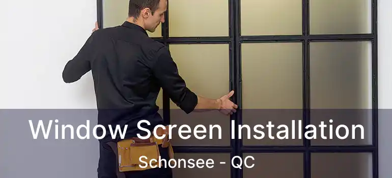  Window Screen Installation Schonsee - QC