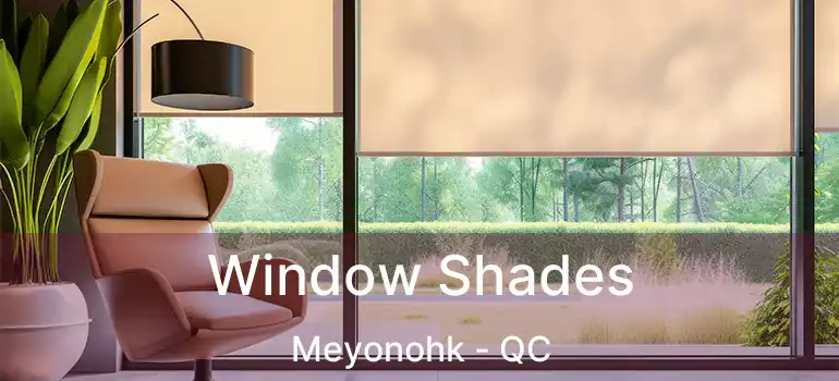  Window Shades Meyonohk - QC