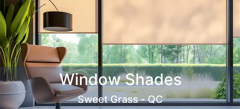 Window Shades Sweet Grass - QC