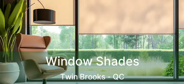  Window Shades Twin Brooks - QC