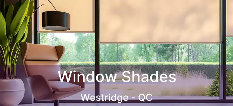  Window Shades Westridge - QC