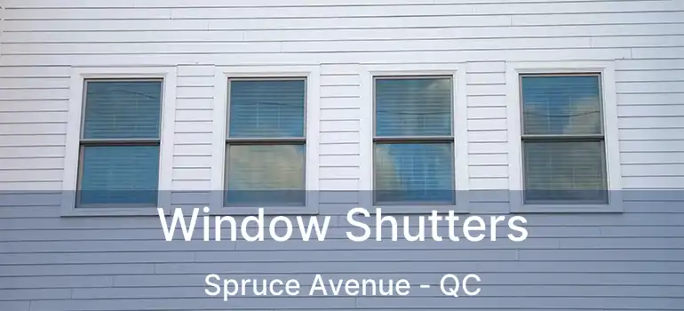  Window Shutters Spruce Avenue - QC