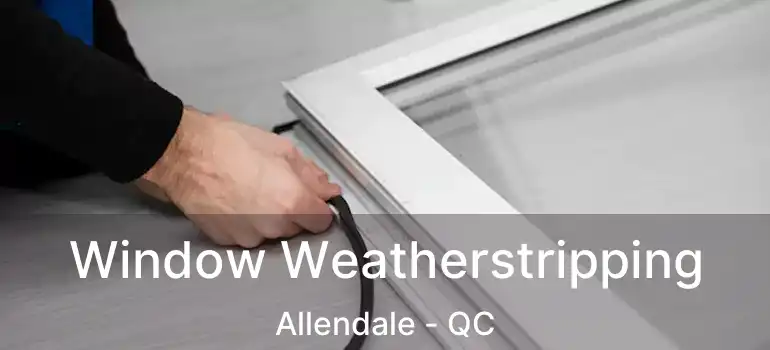  Window Weatherstripping Allendale - QC