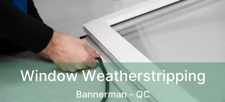 Window Weatherstripping Bannerman - QC