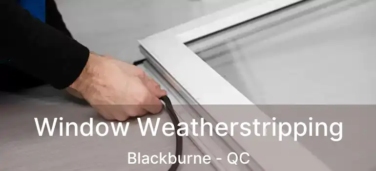  Window Weatherstripping Blackburne - QC