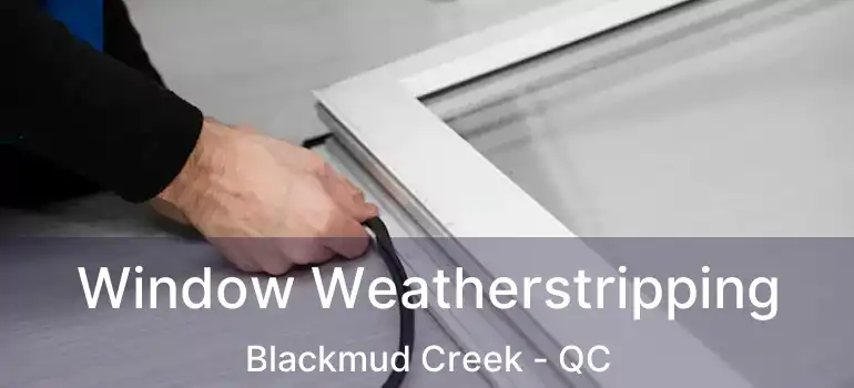  Window Weatherstripping Blackmud Creek - QC