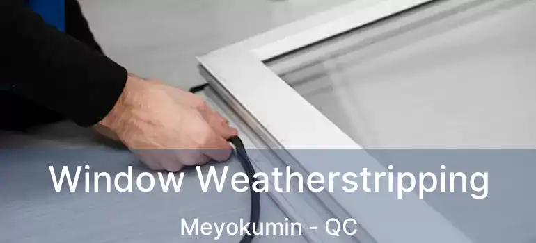 Window Weatherstripping Meyokumin - QC