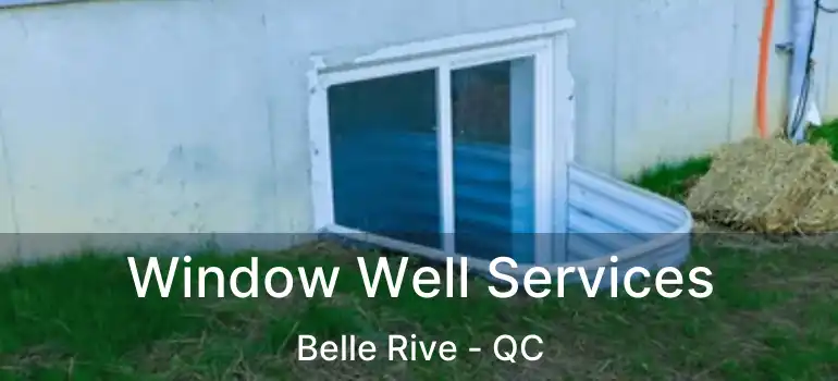  Window Well Services Belle Rive - QC