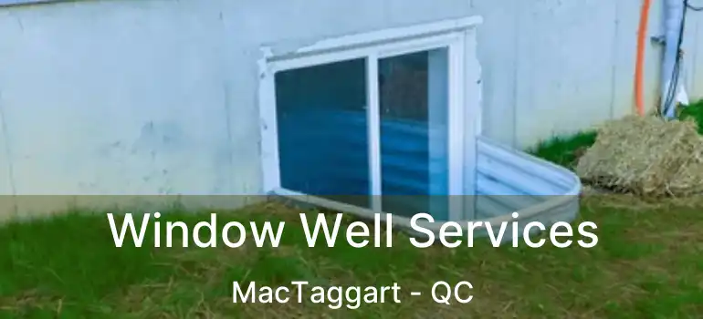 Window Well Services MacTaggart - QC
