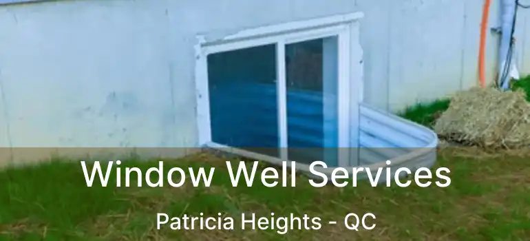  Window Well Services Patricia Heights - QC