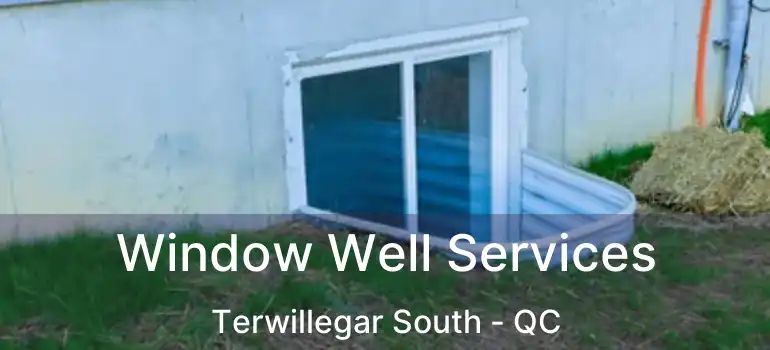 Window Well Services Terwillegar South - QC