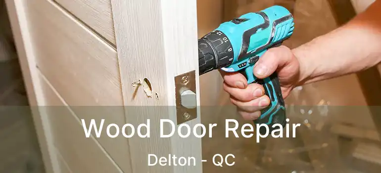  Wood Door Repair Delton - QC